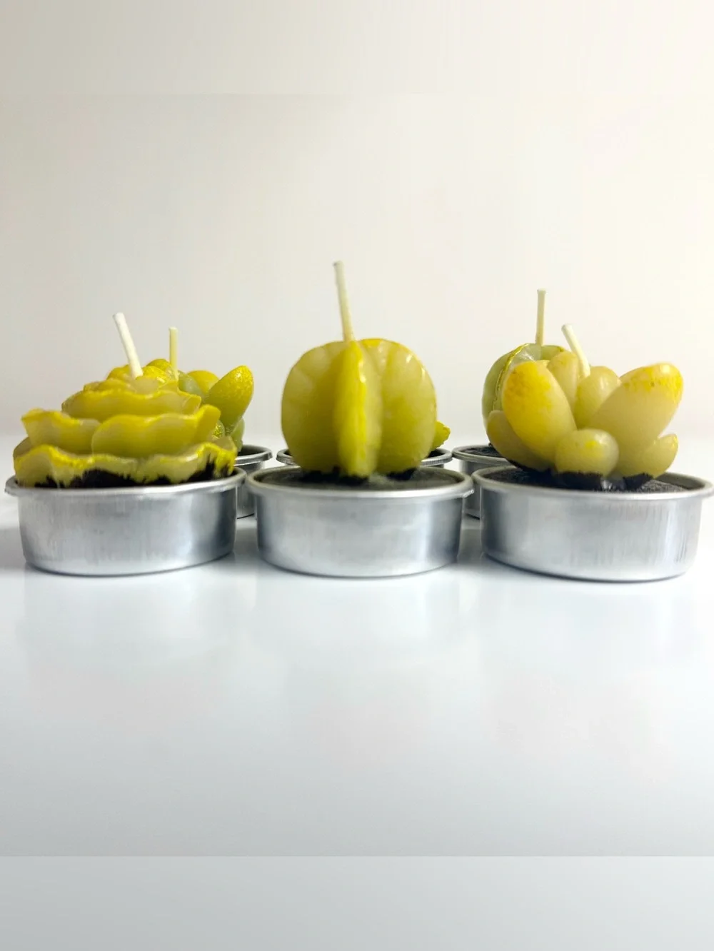 Cactus Candles Tealight Succulent Votive Candles 6pc NWOT